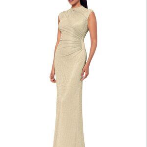 Betsy Adam Formal Gown Mock Neck Ruched Bodice Metallic Sleeveless Women's Sz 4